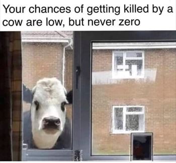 Obrázek z Výsuvná police 42,5 x 13,5 cm 