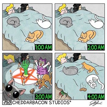 Obrázek tt08 CZ - __CZ